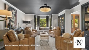 3-Nth Degree Companies